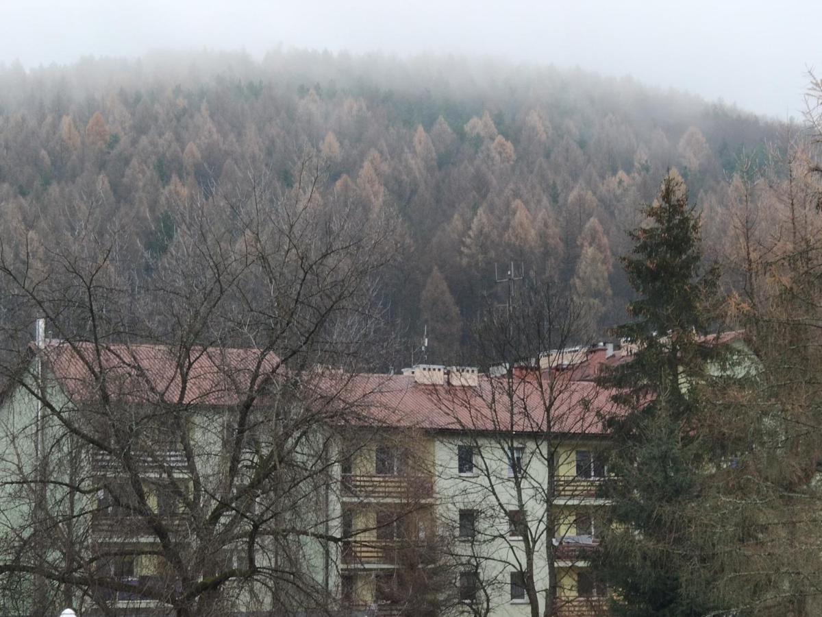 Apartament Wataha Ustrzyki Dolne Εξωτερικό φωτογραφία