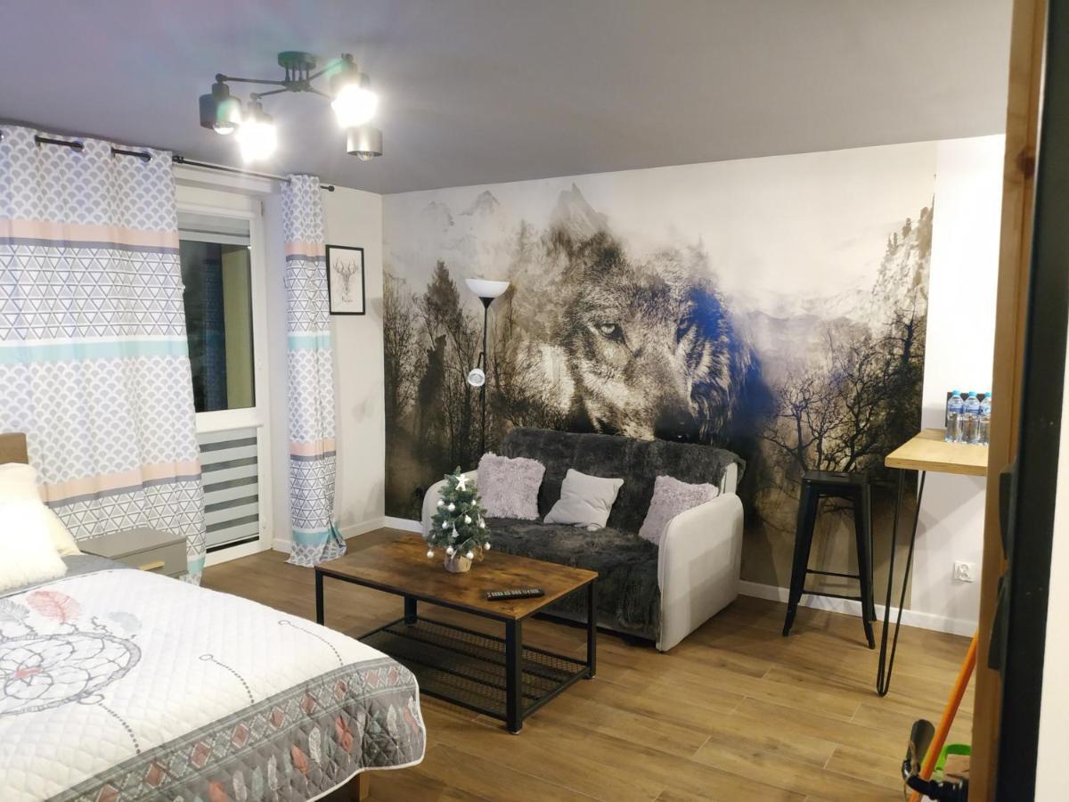 Apartament Wataha Ustrzyki Dolne Εξωτερικό φωτογραφία